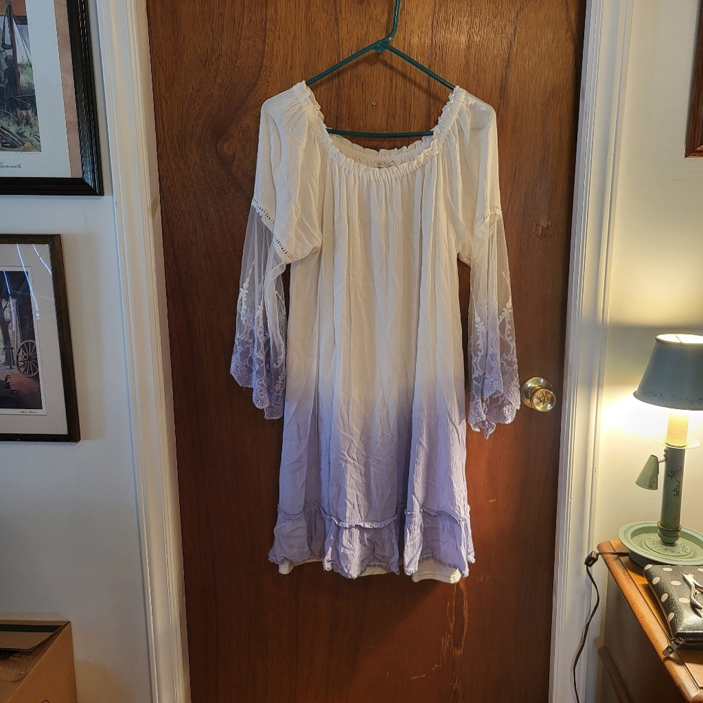 The Cato Spring Bloom dress in size Large features a white and purple ombre desi